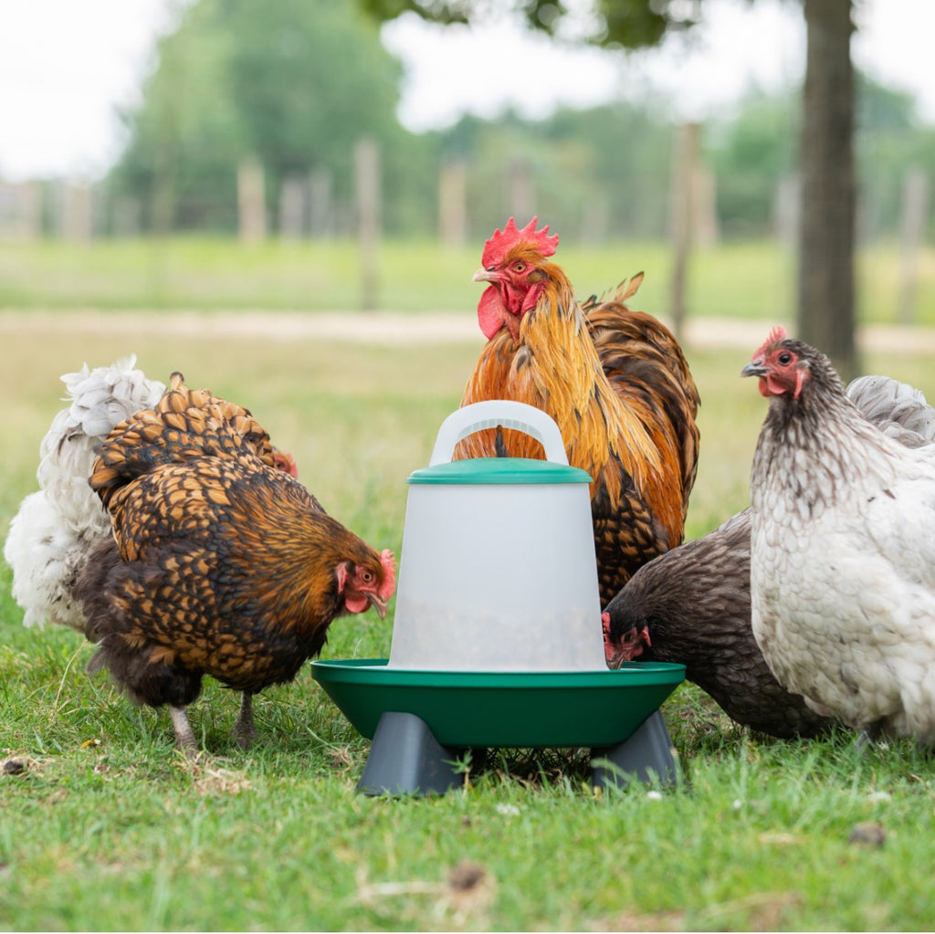 2-Level Feeder - mit Füßen – 3 kg