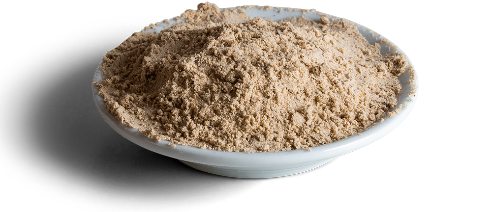 Wisbroek Parrot High Protein Handfeeding®