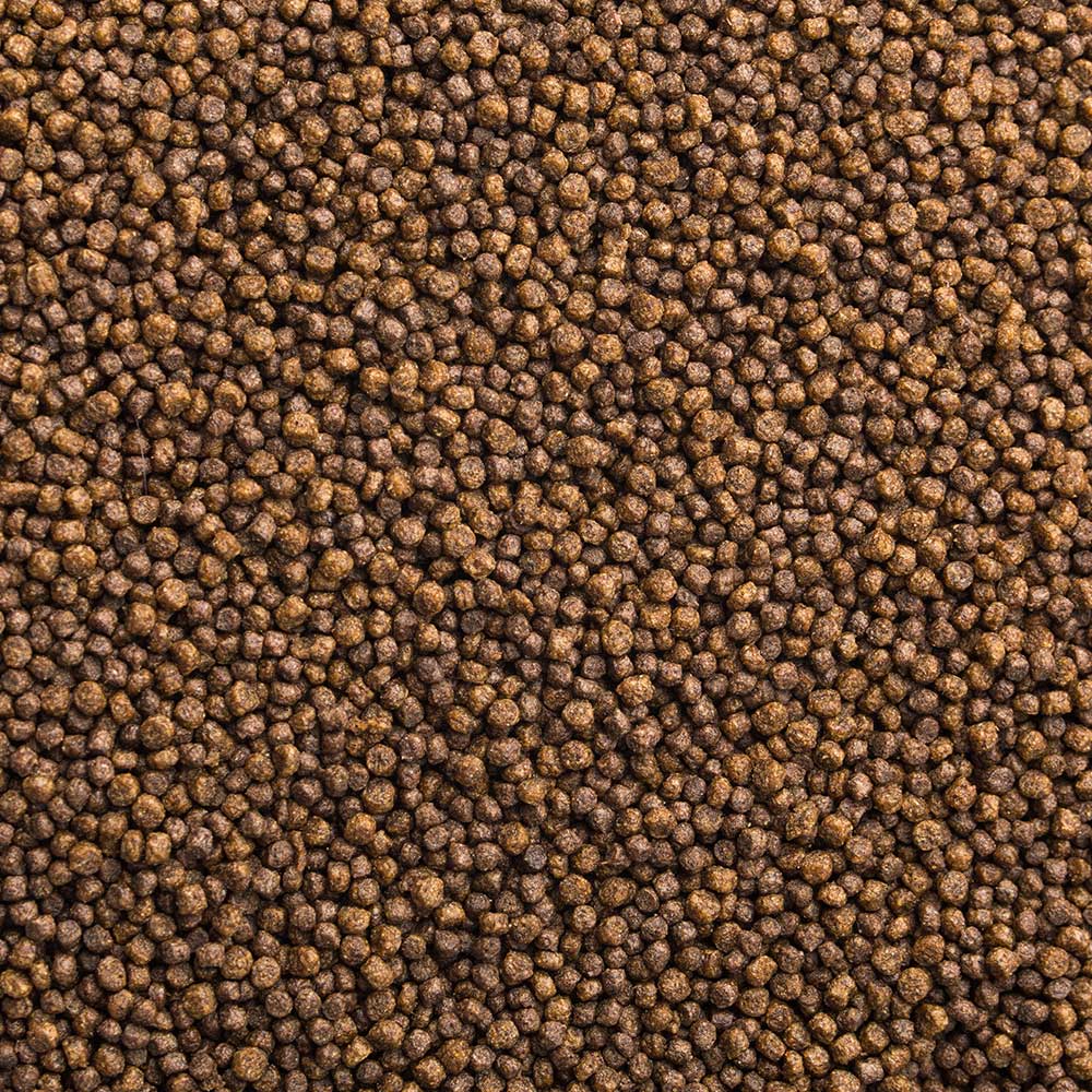 Wisbroek Flamingo Starter®