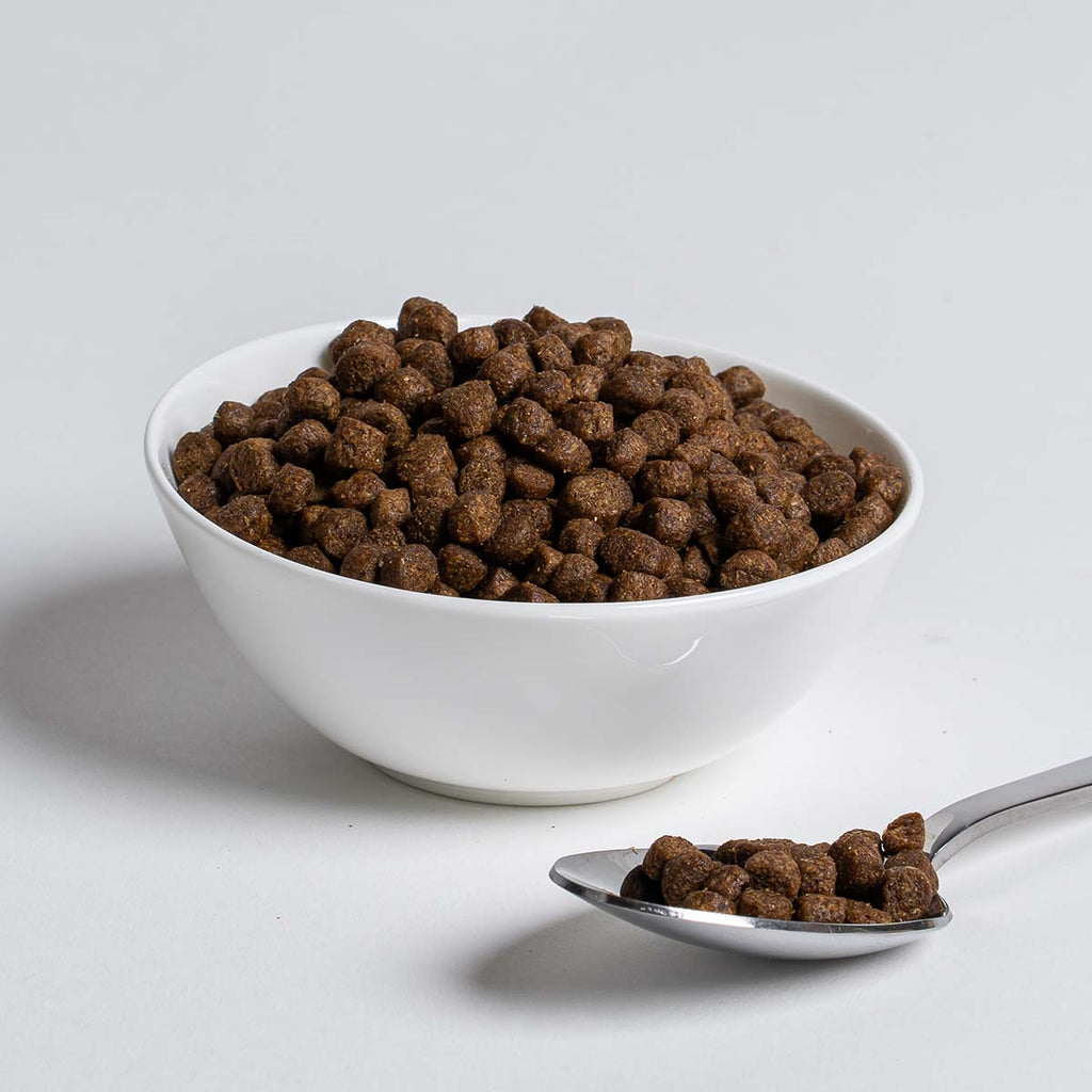 Wisbroek Sea Duck Floating®