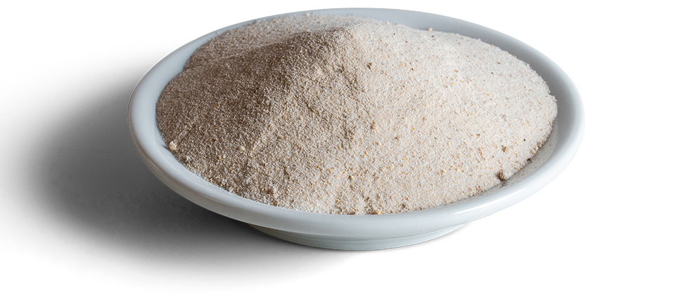 Wisbroek MultiPro Powder®