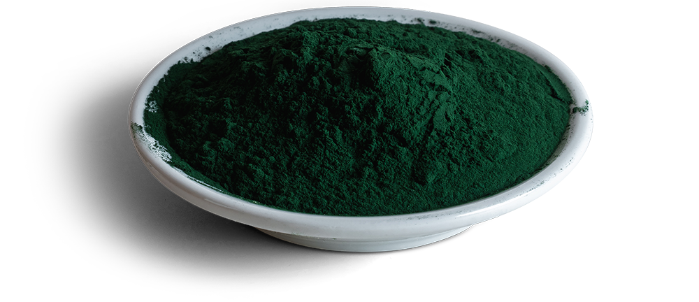 Wisbroek Spirulina®