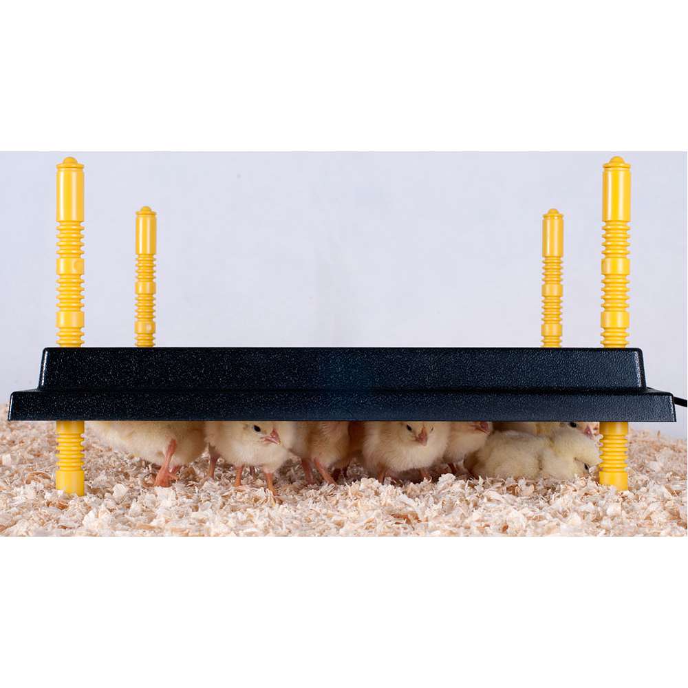 Comfort Wärmeplatte 25x25cm + Temperaturregler 15W /220-240V